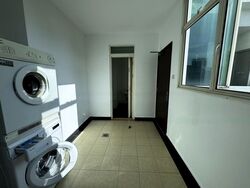 Balmoral 8 (D10), Condominium #459534421